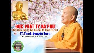 Đức Phật Tỳ Xá Phù | TT Thích Nguyên Tạng