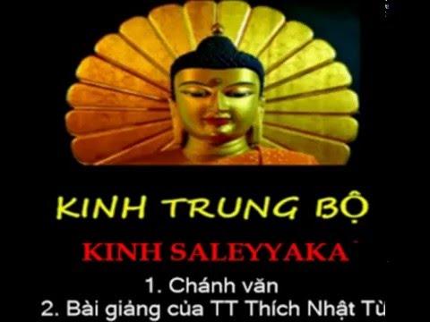 Kinh Trung Bộ - Kinh Saleyyaka. MP3