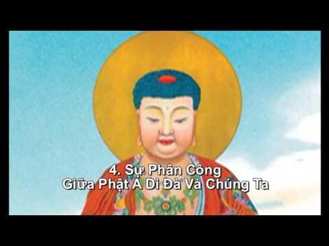 Sự Phân Công Giữa Phật A Di Đà Và Chúng Ta