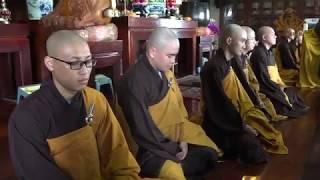 Hạnh phúc được là đệ tử Phật - Thầy Trí Chơn