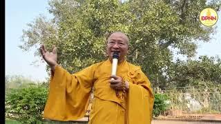 Cây Bồ đề A Nan Đà - Ananda Bodhi Tree | Hành hương Ấn Độ 2023 | TT. Thích Nhật Từ