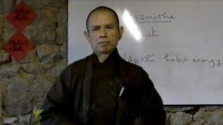 Chỉ và Quán[Phật Pháp Căn Bản Bản 29] | TS Thích Nhất Hạnh(13-03-1994, Xóm Hạ, Làng Mai)