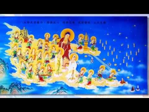 Con Nay Quy Y Đức Phật A Di Đà (Văn Phát Nguyện)