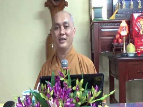 Lịch Sử Đức Phật 19: Thái Tử Tất Đạt Đa Cứu Chim Thiên Nga (phần 2)