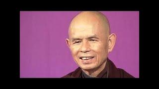 Tổ Sư Nhất Định-TS Thích Nhất Hạnh(07-11-2013, Xóm Mới, Làng Mai)