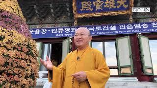 Hành hương Hàn Quốc: Chùa Tam Quang - ngôi chùa lớn nhất ở thành phố Busan