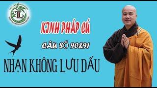Nhạn Không Lưu Dấu - Thầy Thích Pháp Hòa (Tv Trúc Lâm, Ngày 27.03.2022)