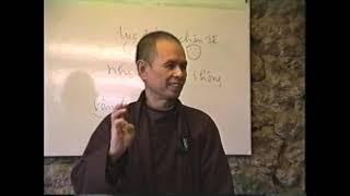 Tứ Diệu Đế và Chánh Kiến [Phật Pháp Căn Bản 05] | TS Thích Nhất Hạnh(05-12-1993, XH, Làng Mai)