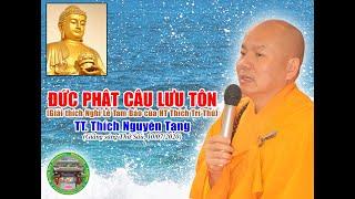 Đức Phật Câu Lưu Tôn | TT Thích Nguyên Tạng giảng