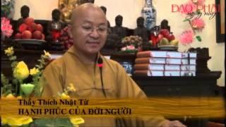 Hạnh Phúc Của Đời Người (13/11/2012) video do Thích Nhật Từ giảng
