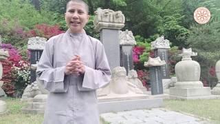 Hành hương chùa Hàn Quốc Online - tập 6: Phụng Nguyên Tự - Bongwonsa - Ngôi tổ đình của Thái Cổ tông