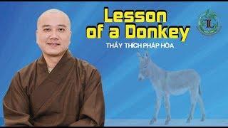 Lesson of a Donkey
