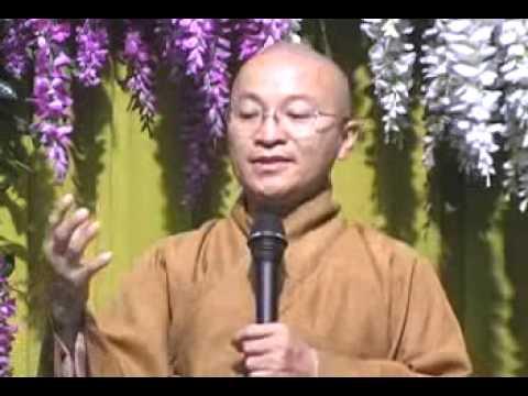 Kinh Trung Bộ 112: Sáu thước đo giải thoát (11/10/2008) video do Thích Nhật Từ giảng