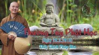 Thường Tùy Phật Học - Ngày 20.5.2018