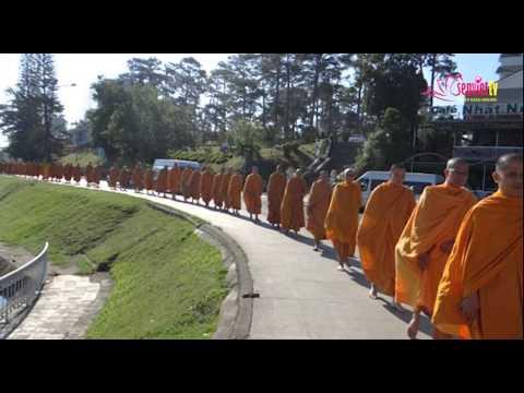 Tin Phật giáo Video SenViet TV 161