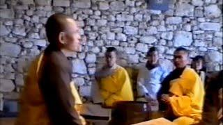 Can Đảm Nhìn Vào Khổ Đau [Phật Pháp Căn Bản 25] | TS Thích Nhất Hạnh(20-02-1994, Xóm Hạ, Làng Mai)