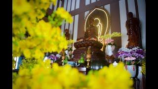 Pháp thoại:  CÓ NHỮNG CÁI BIẾT  | Thầy Trí Chơn