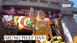 Ca khúc - Mừng Phật Đản | Mừng Đức Phật Đản Sanh 2020