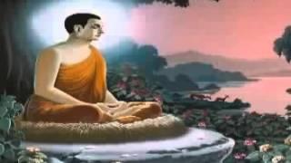 Đức Phật Vĩnh Hằng ( PGTD4 )