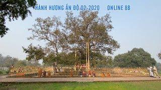 Đoàn hành hương Đạo Phật Ngày Nay chiêm bái cây Bồ-đề Ananda (Ananda Bodhi Tree)