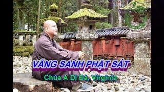 Vãng Sanh Phật Sát - Thầy Thích Pháp Hòa ( Chùa A Di Đà Virginia Ngày 22.9.2019 )