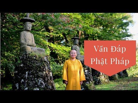 Vấn đáp: Người Phật tử Việt Nam thuần tuý
