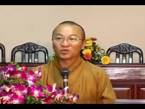 Vấn đáp: Đạo Dòng, Từ Bi Và Hôn Nhân (30/06/2009) video do TT Thích Nhật Từ giảng