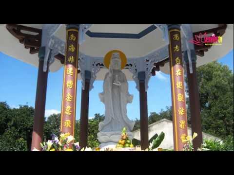 Tin Phật giáo Video SenViet TV 151
