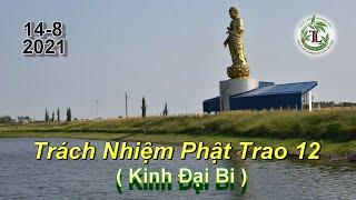 Trách Nhiệm Phật Trao 12 - Thầy Thích Pháp Hòa (Tv.Trúc Lâm.14.8.2021)