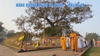 Đoàn hành hương Đạo Phật Ngày Nay chiêm bái cây Bồ-đề Ananda (Ananda Bodhi Tree)