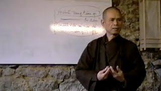 Ta Đang Làm Gì Đây? Năm Pháp Thiền Lạy [Phật Pháp Căn Bản 18] | TS Thích Nhất Hạnh(23-1-1994)