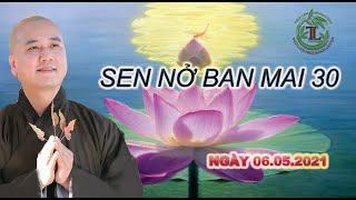 Sen Nở Ban Mai 30 - Thầy Thích Pháp Hòa (Tv.Trúc Lâm.Ngày 6.5.2021)