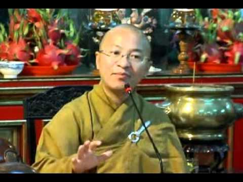 Hạnh phúc khi là Phật tử (01/12/2009) video do TT Thích Nhật Từ giảng