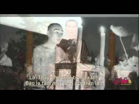 Tin Phật Giáo Video SenViet TV 155