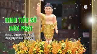 Mừng Đại Lễ Phật Đản 2020 Nghe Kinh Tiểu Sử Đức Phật Rất Ý Nghĩa
