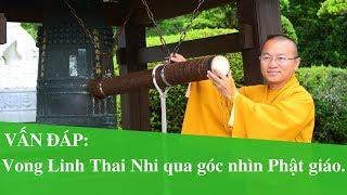 Vấn đáp: Vong Linh Thai Nhi qua góc nhìn Phật giáo | Thích Nhật Từ