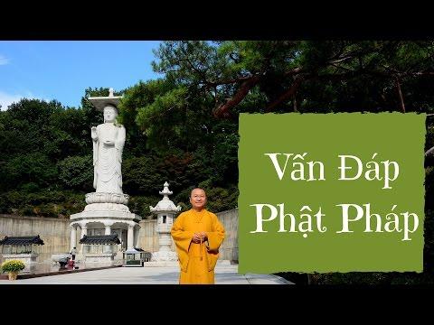 Vấn đáp: Tiềm năng làm Phật | Thích Nhật Từ