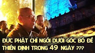 Có phải Đức Phật chỉ ngồi dưới gốc bồ đề trong 49 ngày thiền định ???