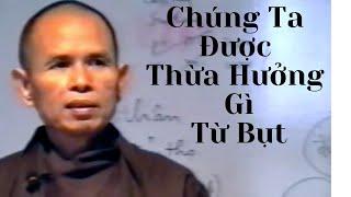 Quán Chiếu Cảm Thọ [Phật Pháp Căn Bản 14] | TS Thích Nhất Hạnh(6-1-1994, Xóm Thượng, Làng Mai)