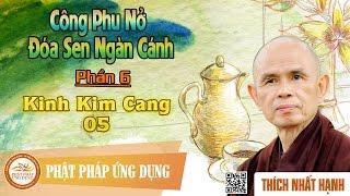 Công Phu Nở Đóa Sen Ngàn Cánh 06: Kinh Kim Cang 05 - Thầy Thích Nhất Hạnh